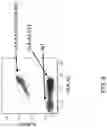 Fig. 10 - GENETICALLY MODIFIED MAJOR HISTOCOMPATIBILITY COMPLEX ANIMALS
