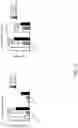Fig. 12 - GENETICALLY MODIFIED MAJOR HISTOCOMPATIBILITY COMPLEX ANIMALS