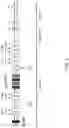 Fig. 03 - GENETICALLY MODIFIED MAJOR HISTOCOMPATIBILITY COMPLEX MICE