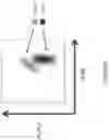 Fig. 08 - GENETICALLY MODIFIED MAJOR HISTOCOMPATIBILITY COMPLEX MICE