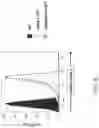 Fig. 11 - GENETICALLY MODIFIED MAJOR HISTOCOMPATIBILITY COMPLEX MICE