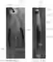 Fig. 22 - Customizable fishing lures and kit for making the same