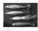 Fig. 24 - Customizable fishing lures and kit for making the same