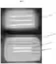 Fig. 05 - Insect trap