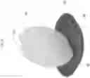 Fig. 12 - VOLATILE MEDIUM DELIVERY DEVICE, SYSTEM, AND METHOD OF USE