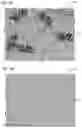 Fig. 02 - Camouflage material for a hunting blind