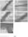 Fig. 09 - COMPOSITION AND METHOD FOR IMPROVING THE DEVELOPMENT OF PLANTS