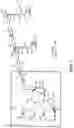 Fig. 04 - Distribution of yeast or other food fluid in a bakery