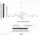 Fig. 04 - BIFIDOBACTERIUM LONGUM NCIMB 41676