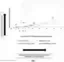 Fig. 08 - BIFIDOBACTERIUM LONGUM NCIMB 41676