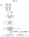 Fig. 03 - METHOD FOR MANUFACTURING FEED CONTAINING SALMON GROWTH HORMONE, FEED CONTAINING SALMON GROWTH HORMONE, AND LIQUID CONTAINING SALMON GROWTH HORMONE