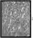 Fig. 09 - RETORTABLE GLUTEN-FREE PASTA