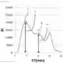 Fig. 03 - Water-soluble polysaccharide derived from root vegetable and method for producing same