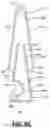 Fig. 12 - HAND PIPE SLEEVE, A HAND PIPE, AND COMBINATION THEREOF