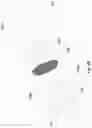 Fig. 11 - Heat-not-burn device and method