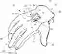 Fig. 01 - Glove with clip