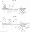 Fig. 06 - FASHION SCRUNCH CLIP APPARATUS AND METHOD