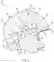 Fig. 04 - MULTILAYERED HELMET WITH INDEPENDENTLY MOVABLE SEGMENTS