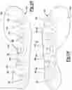 Fig. 25 - Article of footwear incorporating particulate matter