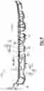 Fig. 09 - Sole structure for article of footwear