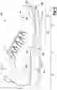 Fig. 10 - Sole structure for article of footwear