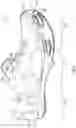 Fig. 06 - Articles of footwear with adaptive-height bladder elements