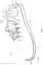 Fig. 08 - Articles of footwear with adaptive-height bladder elements