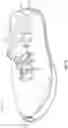 Fig. 11 - Articles of footwear with adaptive-height bladder elements