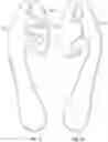 Fig. 14 - Articles of footwear with adaptive-height bladder elements