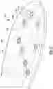 Fig. 09 - Outsole plate