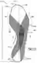 Fig. 16 - Outsole plate