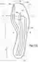 Fig. 19 - Outsole plate