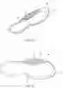 Fig. 04 - A SOLE FOR A SHOE