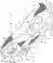 Fig. 01 - Sole structure for article of footwear