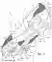 Fig. 02 - Sole structure for article of footwear