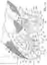 Fig. 03 - Sole structure for article of footwear