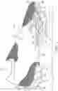 Fig. 05 - Sole structure for article of footwear