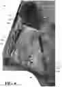 Fig. 07 - Modular firearm support, concealment aid, and shooting equipment holder assembly for a multi-legged stand
