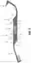 Fig. 05 - Double-ended illuminated dental tool with replaceable attachments