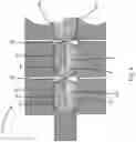 Fig. 10 - Pocket Spring Unit