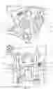 Fig. 19 - Centrifugal coffee brewer and method of using same