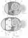 Fig. 22 - Centrifugal coffee brewer and method of using same