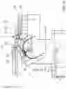 Fig. 14 - Automatic edible fluid injection device of food frying machines