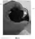 Fig. 04 - Grinding Device In Combination With An Igniter That Is Chargeable Via A USB Port