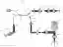 Fig. 01 - Optical coherence tomography (OCT) system and method that measure stimulus-evoked neural activity and hemodynamic responses