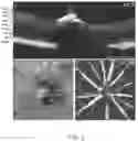 Fig. 03 - Optical coherence tomography (OCT) system and method that measure stimulus-evoked neural activity and hemodynamic responses
