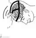 Fig. 02 - Wireless neural interface system