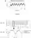 Fig. 38 - Methods for extracting subject motion from multi-transmit electrical coupling in imaging of the subject