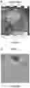 Fig. 41 - Methods for extracting subject motion from multi-transmit electrical coupling in imaging of the subject