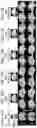 Fig. 14 - SUPER-PIXEL DETECTION FOR WEARABLE DIFFUSE OPTICAL TOMOGRAPHY